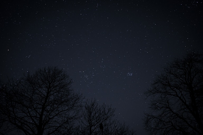 A serene night sky dotted with stars, framed by the silhouettes of leafless trees on both sides.